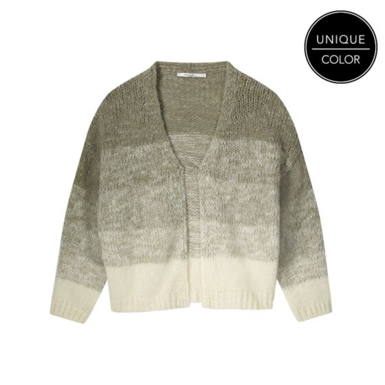 Vest SUMMUM degrade brushed alpaca blend knit