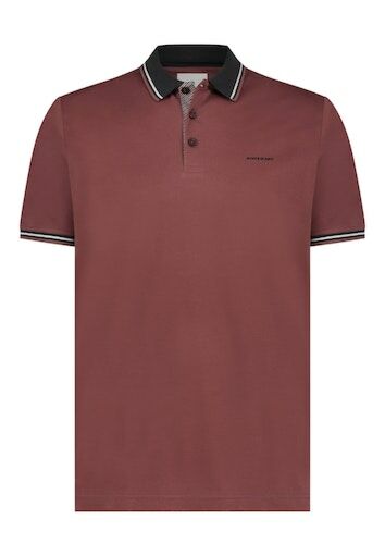 Poloshirt Piqu SS P 46113429-4298