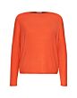 Soda fresh coral 239120611-4097