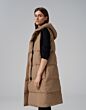 Vestina maple 713438211156#S20931-2091