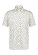 Shirt SS Printed Pop 26412201-2253