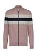 Cardigan Striped - K 16213044-2959
