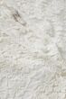 Vivi Lace Blouse Chalk 10604513-60034