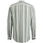 Shirt Stripe Mulled Basil CSI2402220-6495