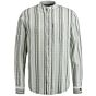 Shirt Stripe Mulled Basil CSI2402220-6495